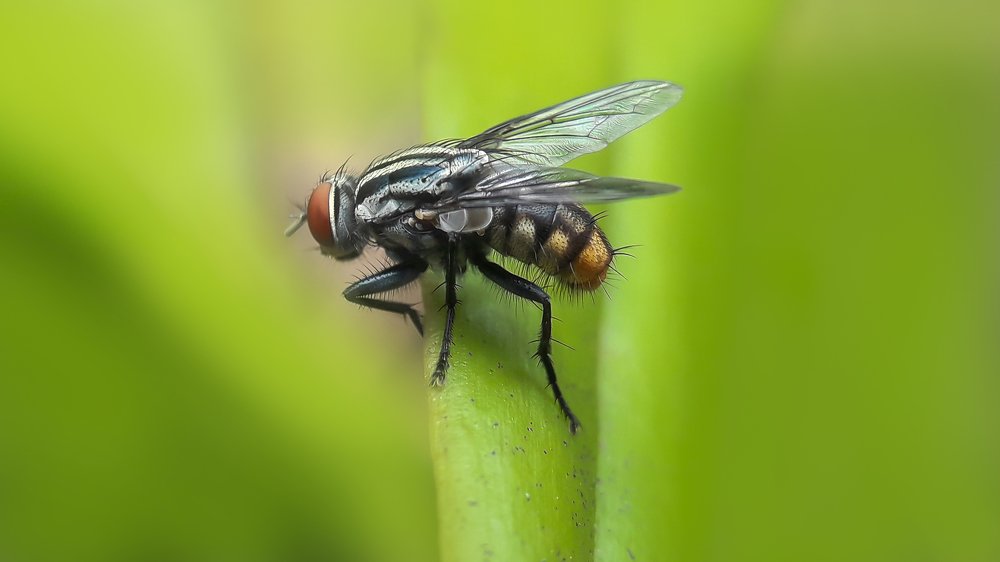 Photograph by Rui Santos