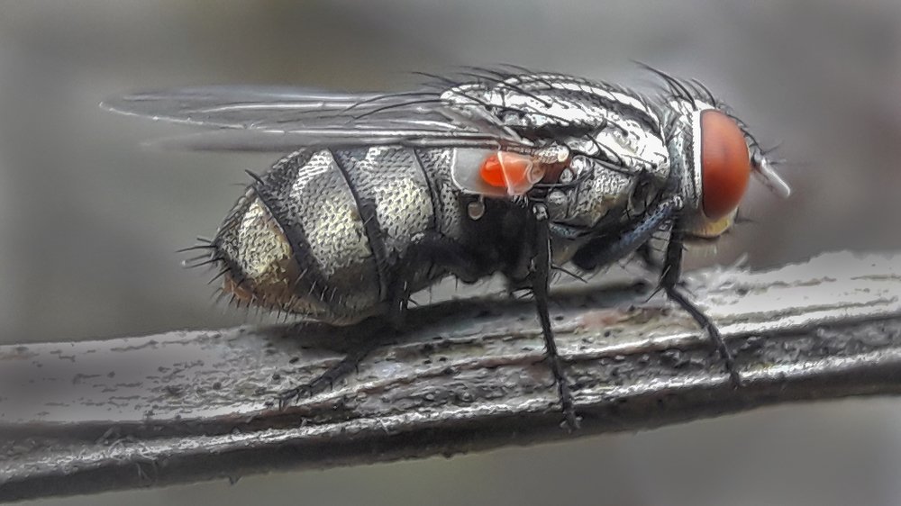 Photograph by Rui Santos