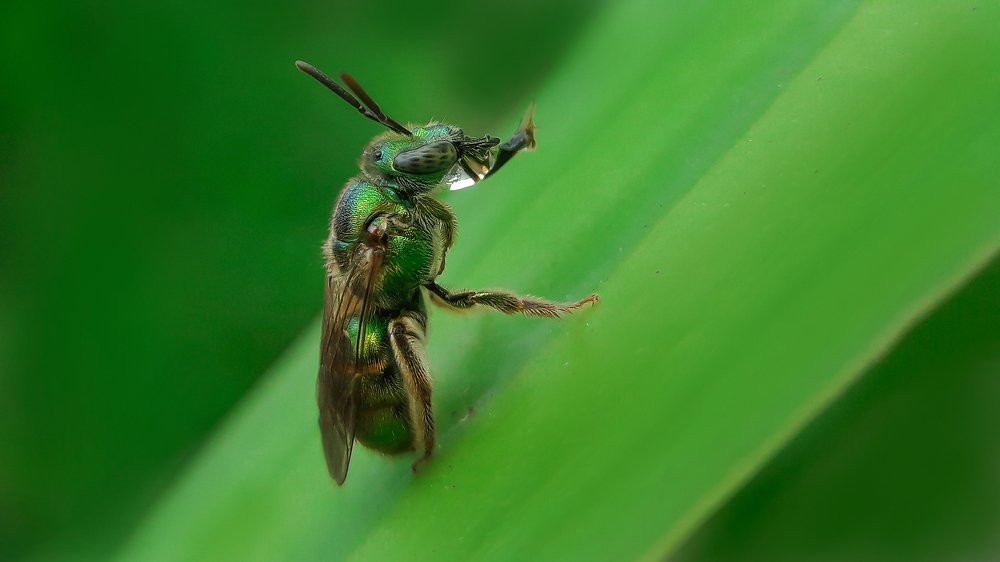 Photograph by Rui Santos