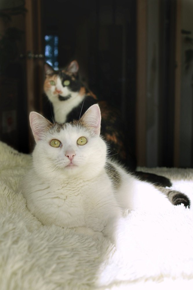 Photograph by Марина Моисеева