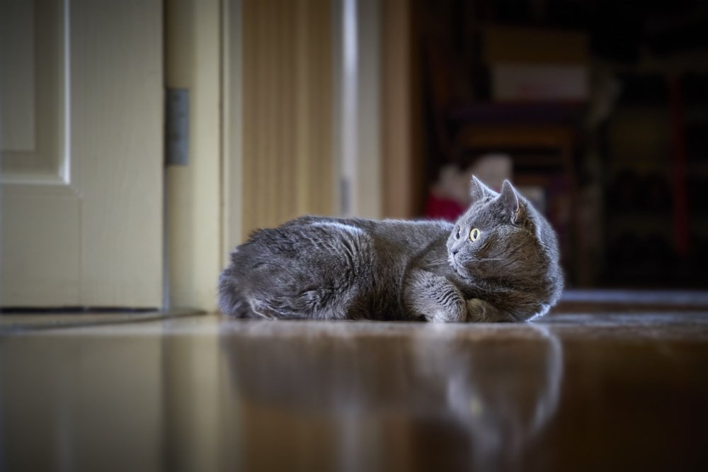 Нарушенный сон...