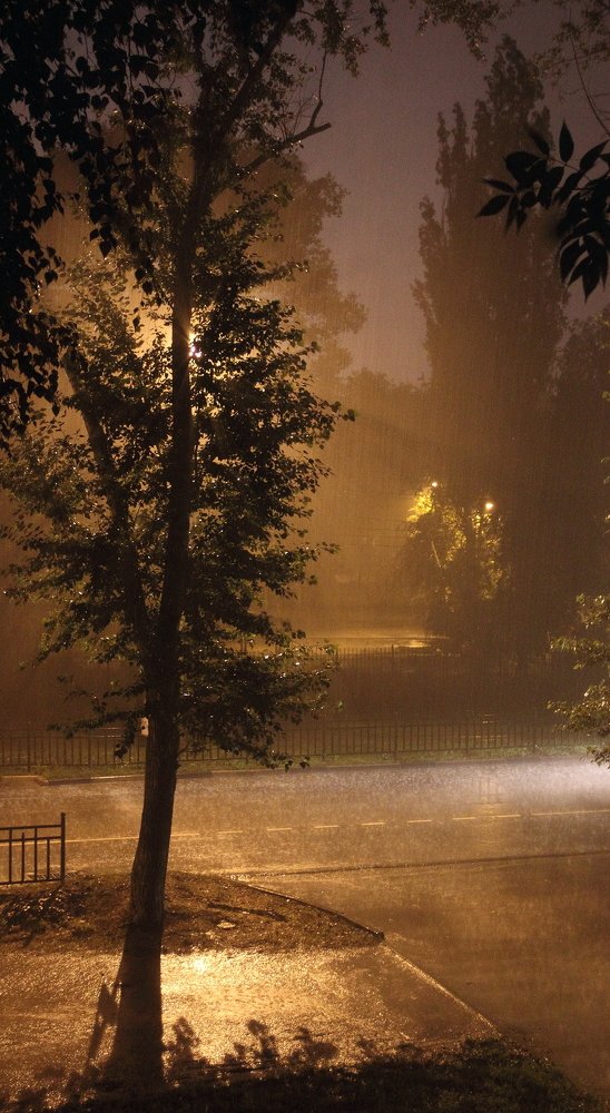 Дождь слёзы льёт