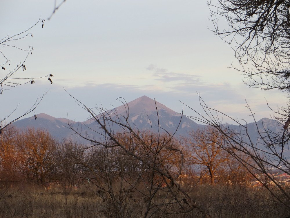 Photograph by Галина