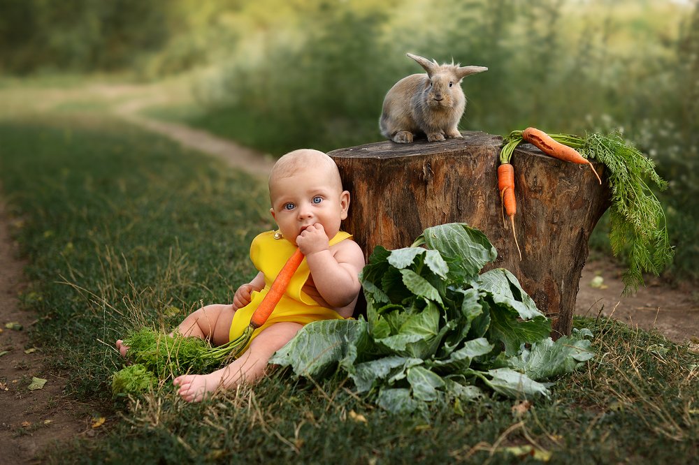 Photograph by Elena Hodos