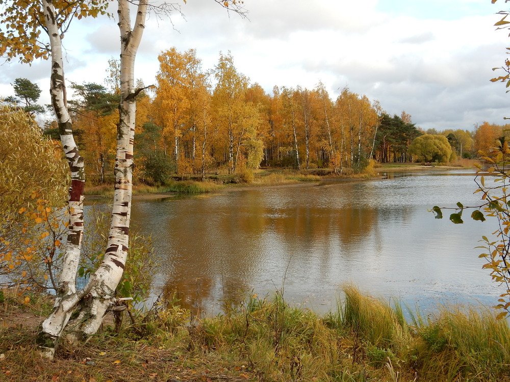 Осенний пруд
