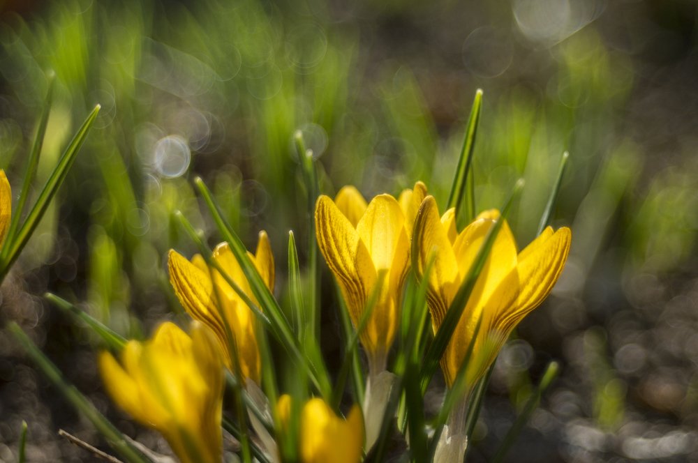 Photograph by Константин Великопольский