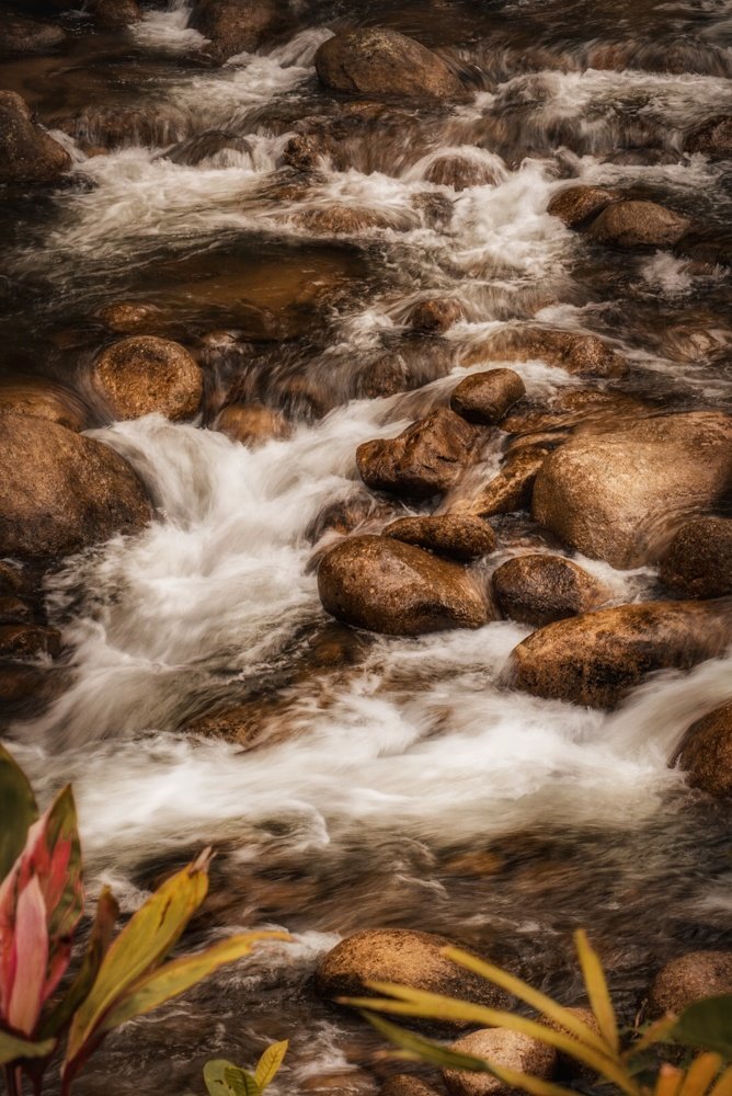 Photograph by Sufina Zamri