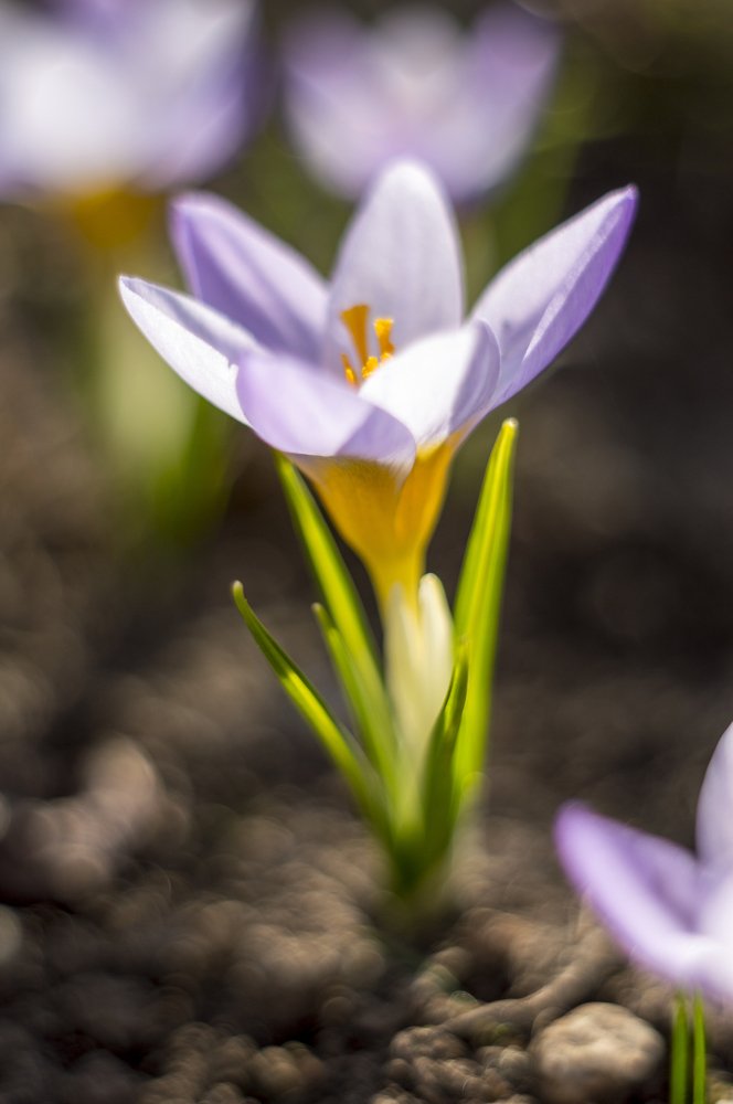 Photograph by Константин Великопольский