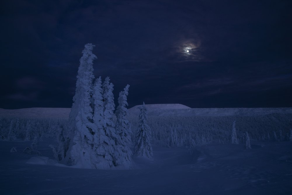 Photograph by Владислав Костылев