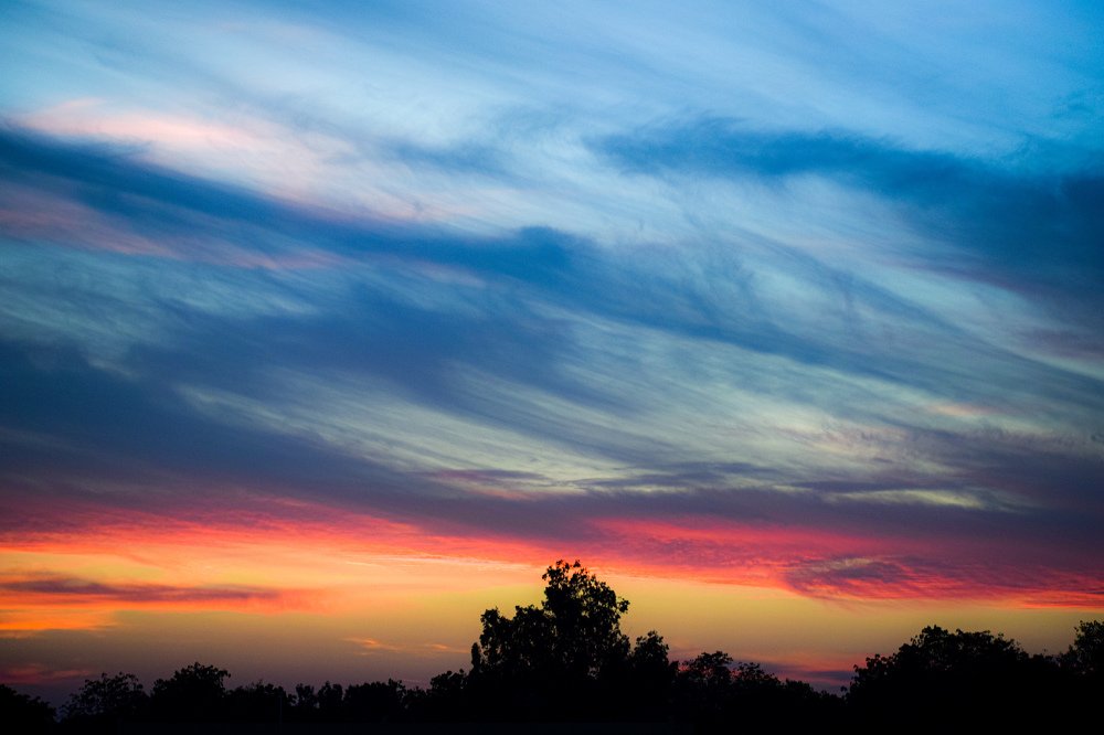 Photograph by Kartikeyan Sharma