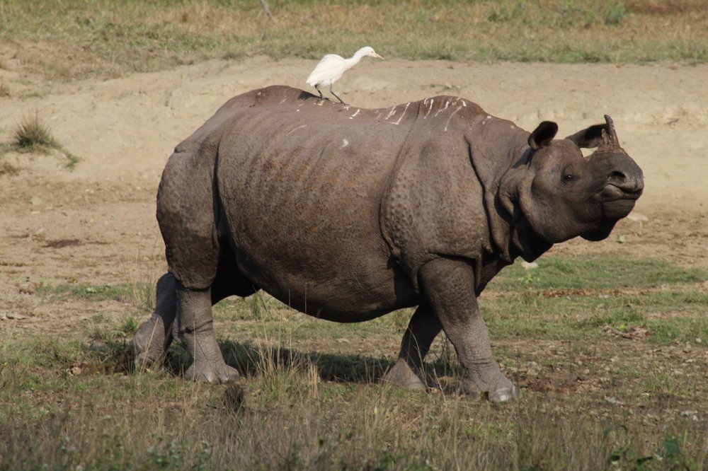 Photograph by Dipayan Chakraborty
