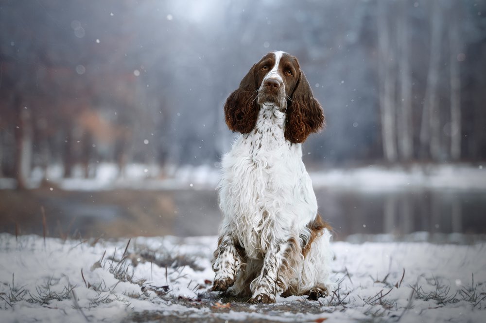 Photograph by Светлана Писарева