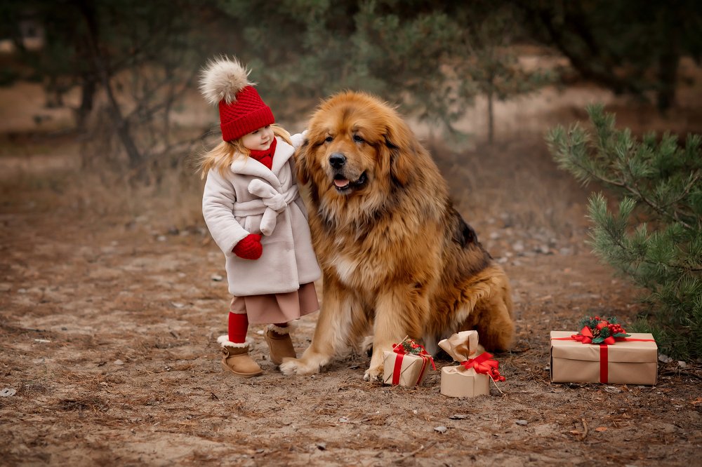 Photograph by Валентина Ермилова