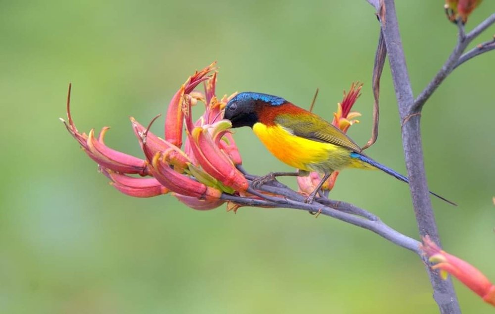 Photograph by KUSHAL SHARMA