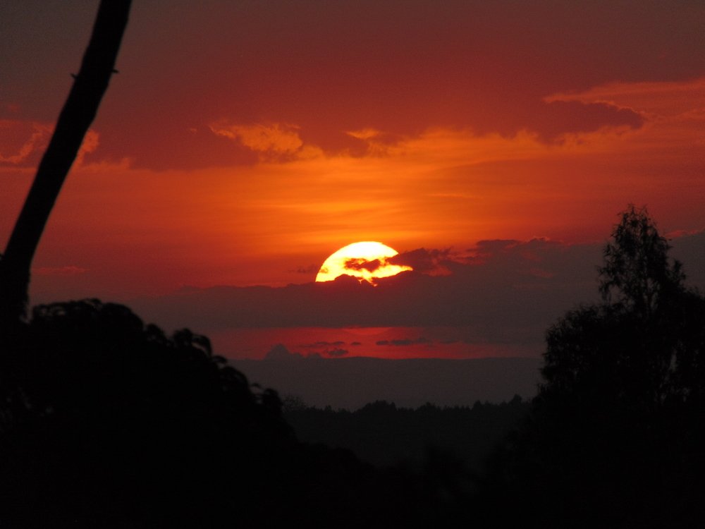 Фотография автора Stephen Muroki