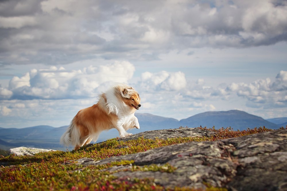 Photograph by Лана Полякова