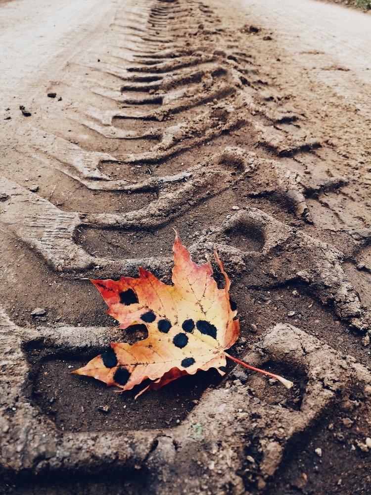 Photograph by Марина Дементьева