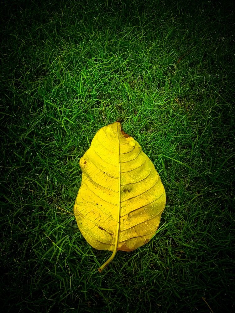 Photograph by Anant Jodhani