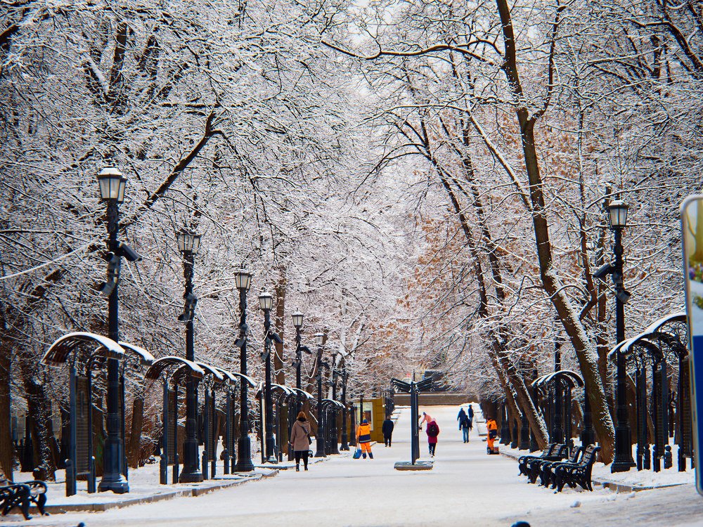 Photograph by Бавыкин Николай