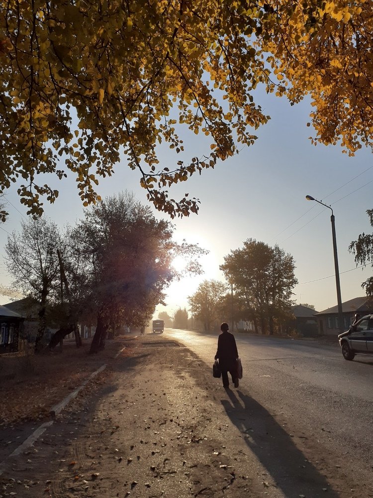 Photograph by Тогжан Таминбаева