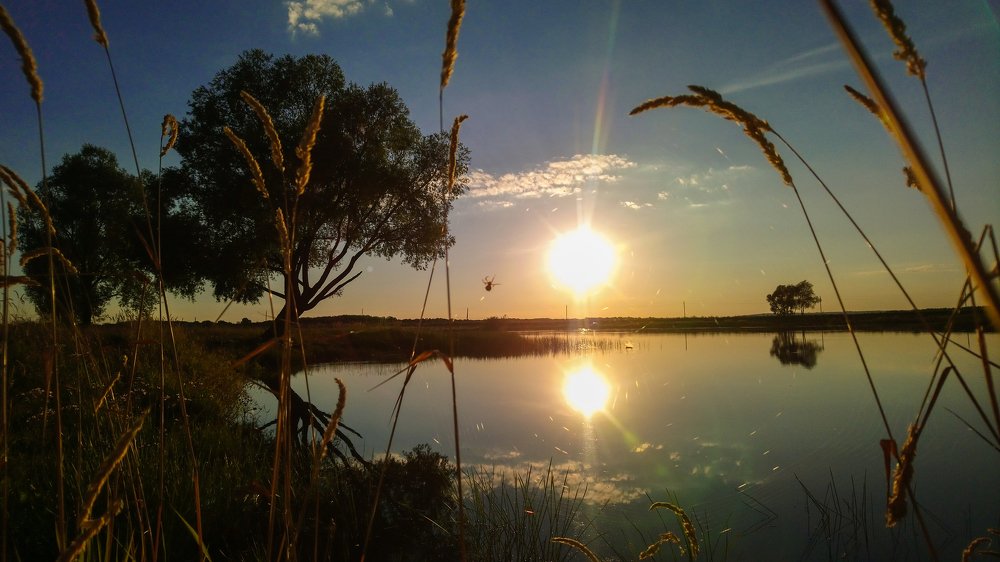 Вечерний этюд