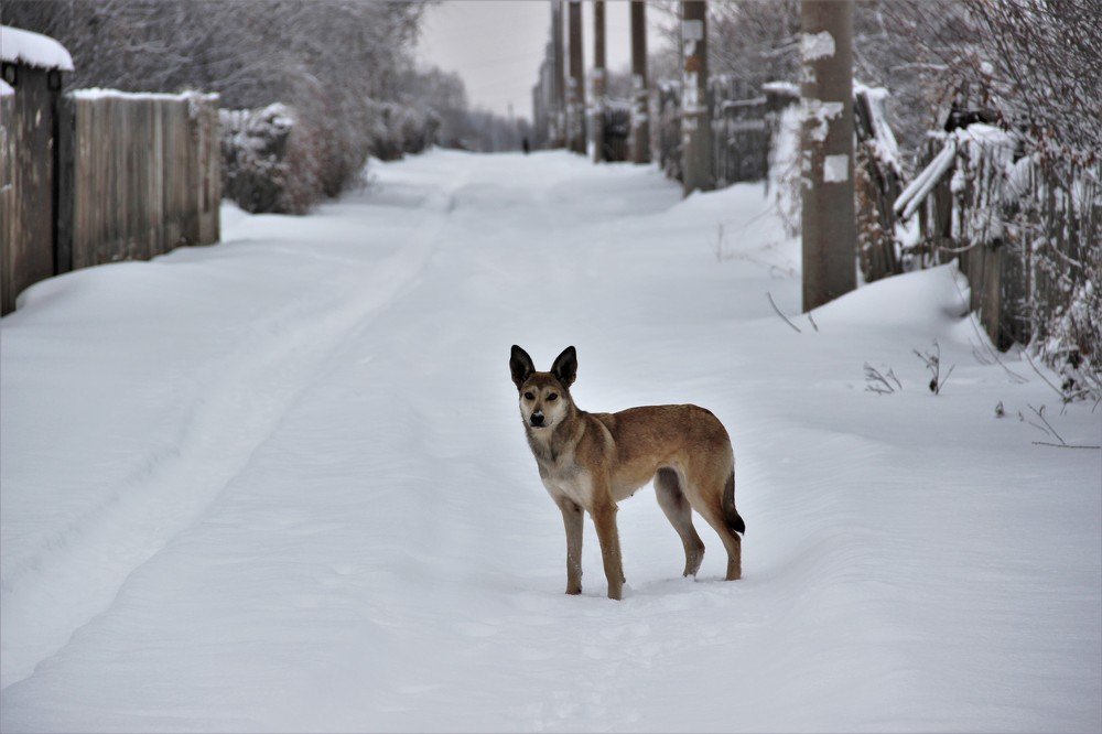 Случайная встреча.
