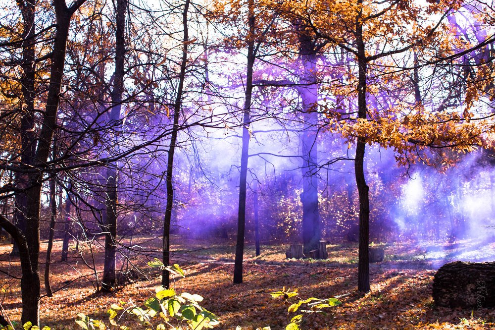 Photograph by Вероника Новикова