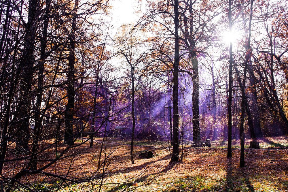 Photograph by Вероника Новикова