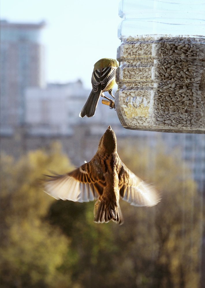 Photograph by Елена Ржевская