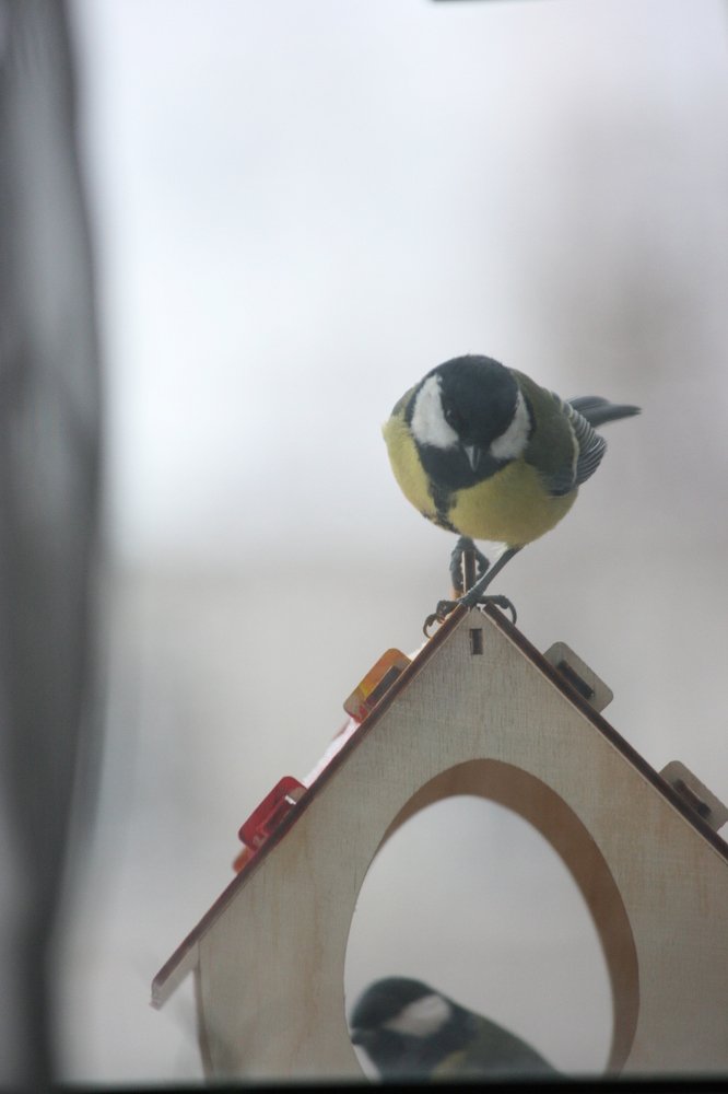 Photograph by Игорь Улитин