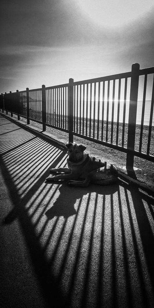 Photograph by Татьяна Чернышова