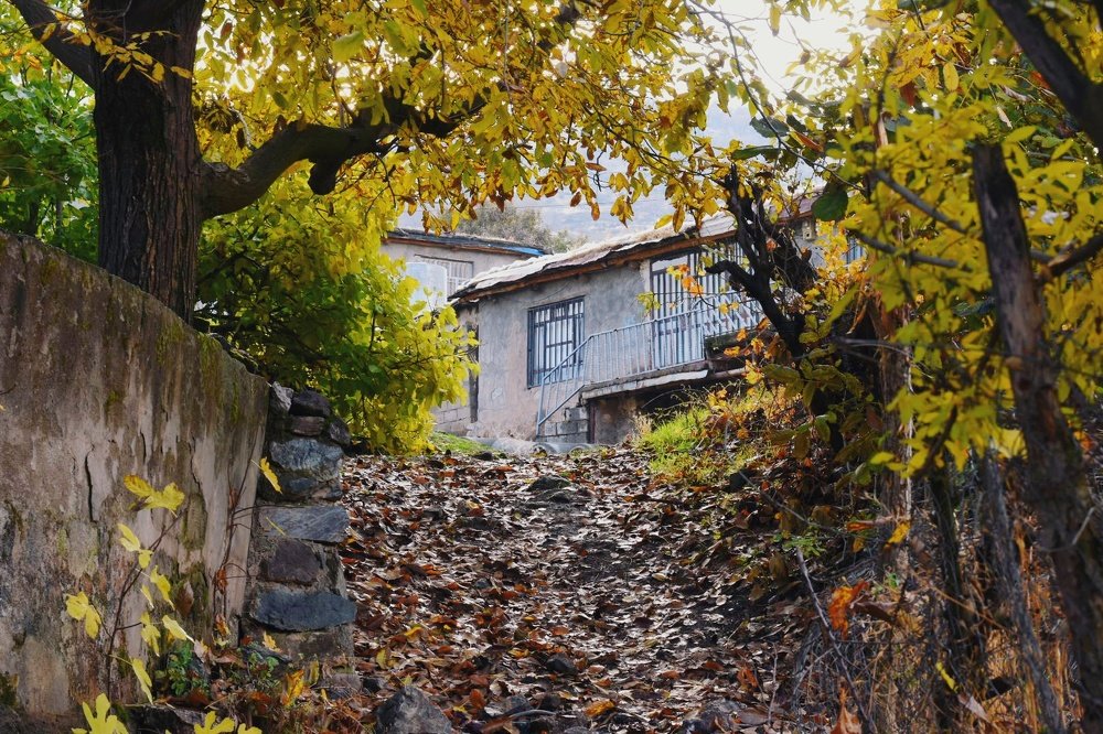 Photograph by faiaq ary