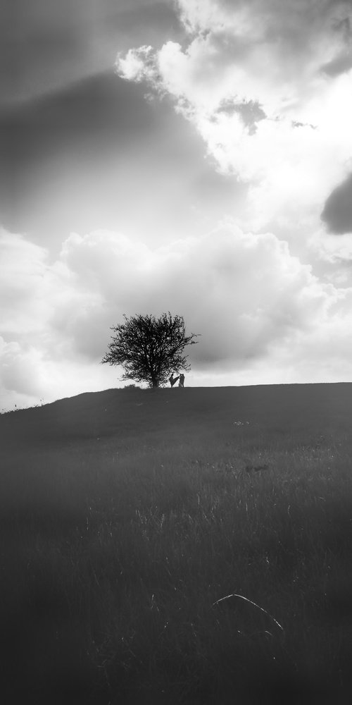 Photograph by Татьяна Чернышова