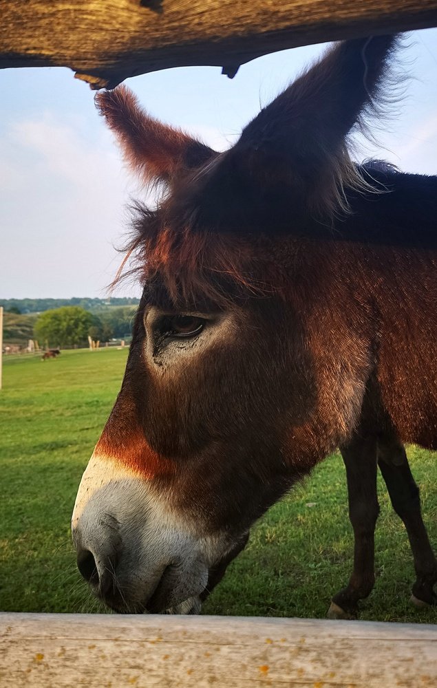 Photograph by Татьяна Чернышова