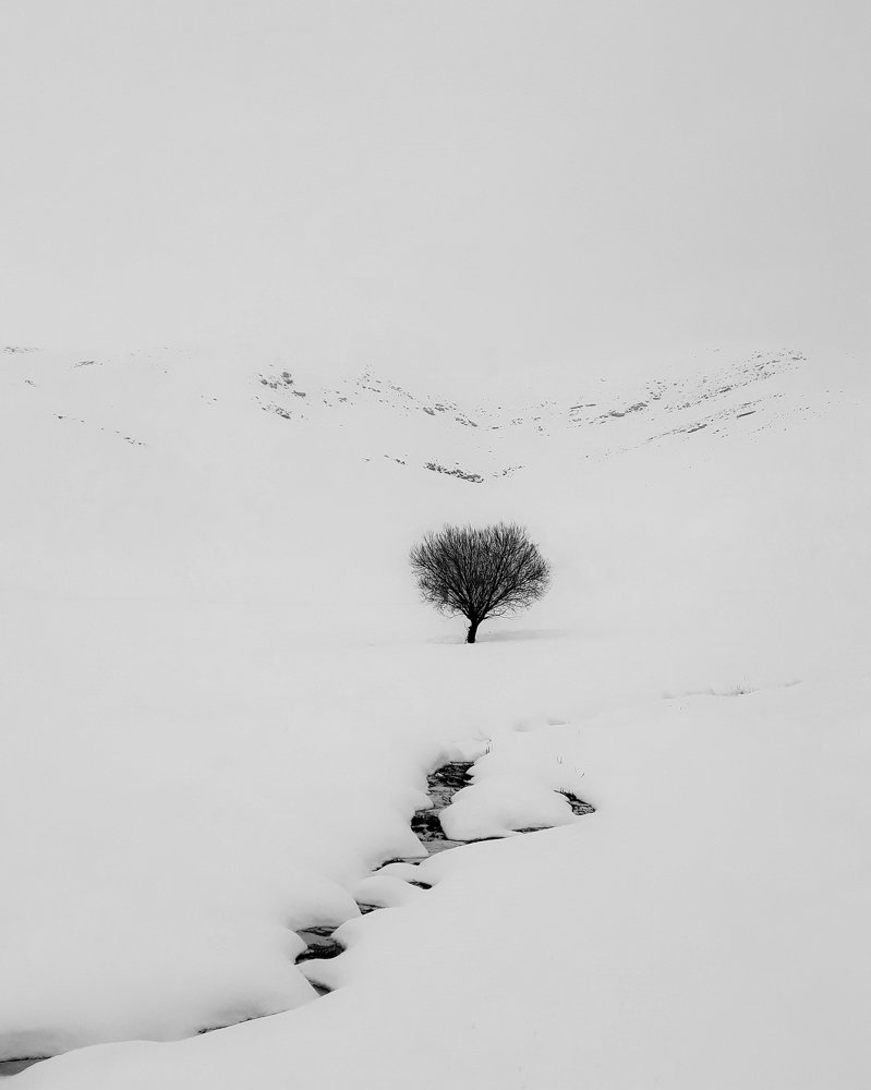 Фотография автора Alipour mohammad