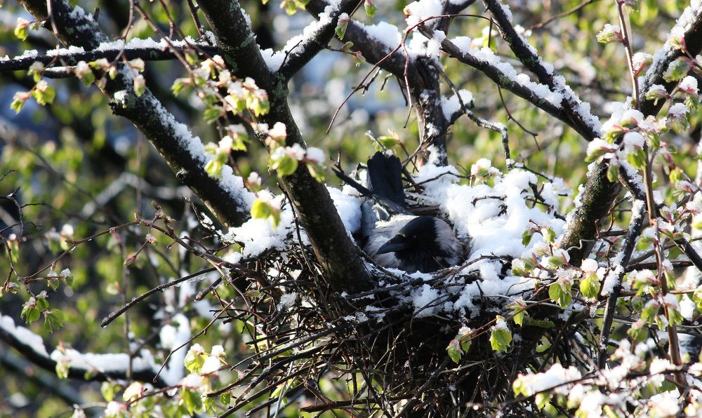 Фотография автора Владислава Андрюнина