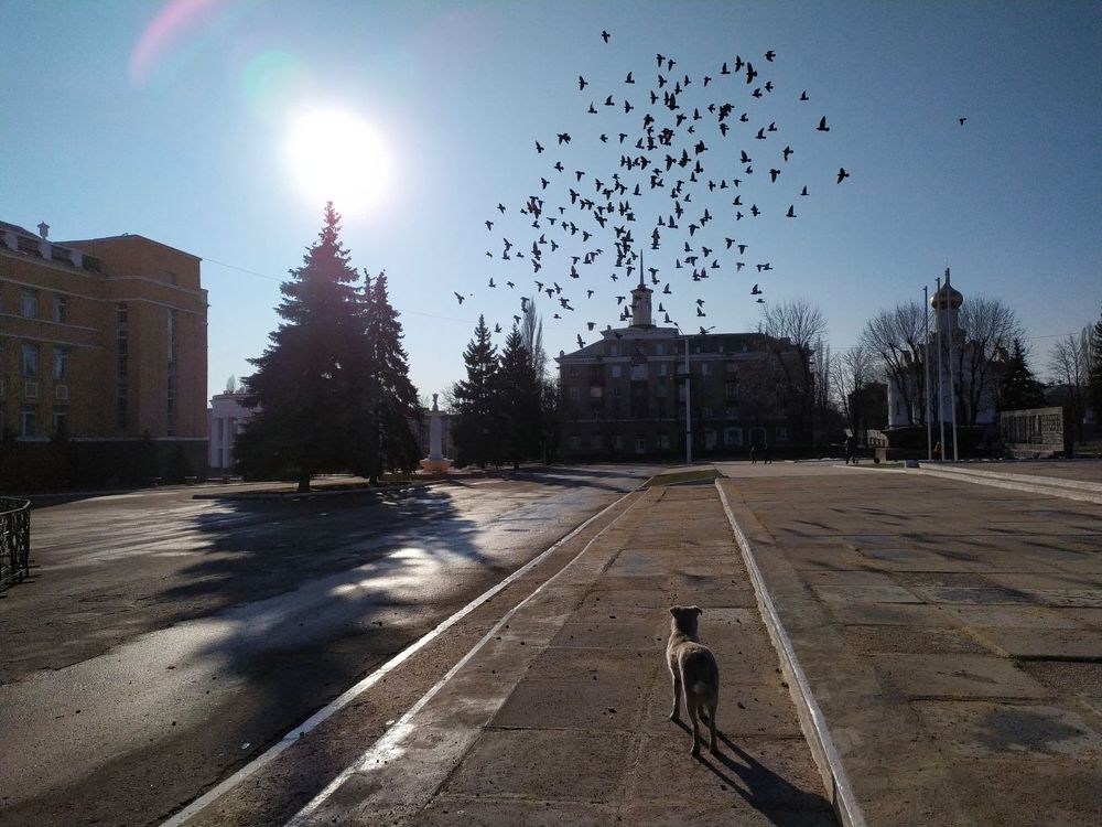 Photograph by Владимир Лищук