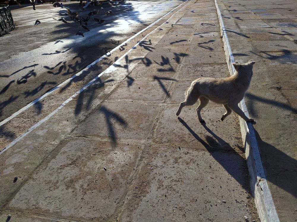 Photograph by Владимир Лищук