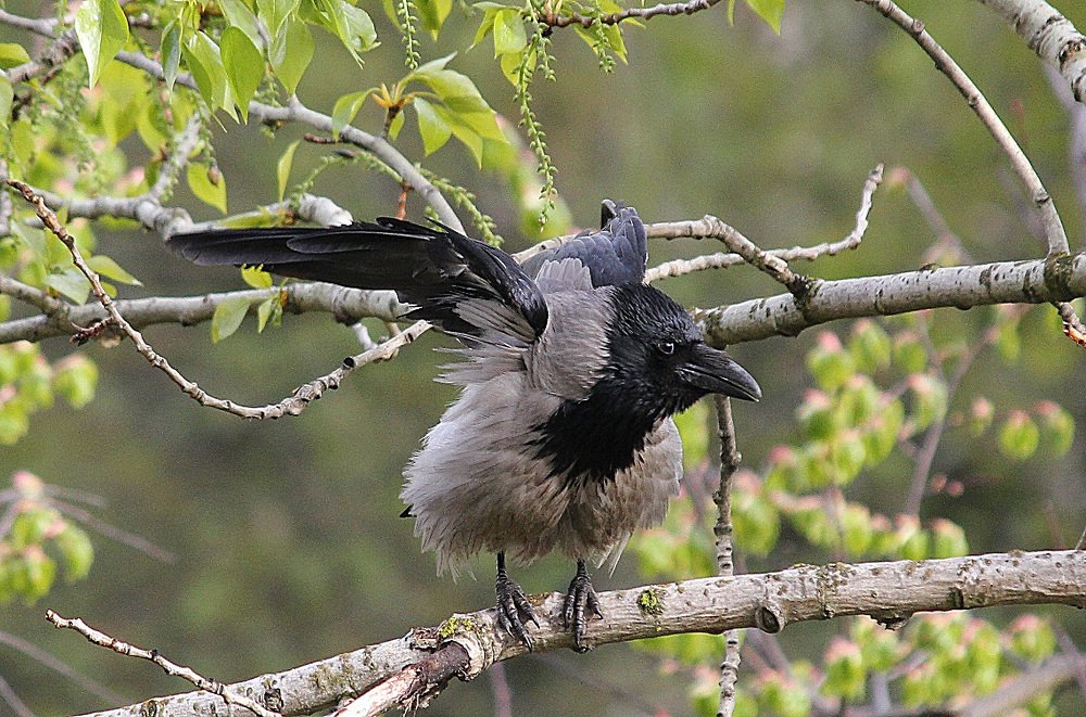 Фотография автора Владислава Андрюнина