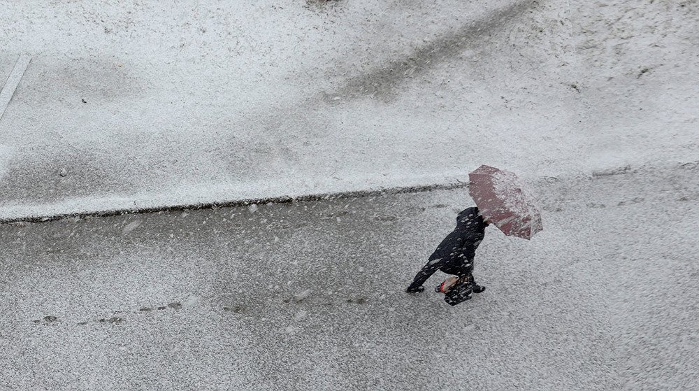 Photograph by Sergey L