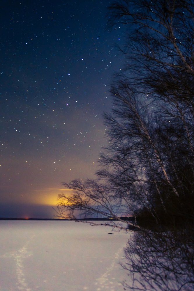 Photograph by Антон Луценко