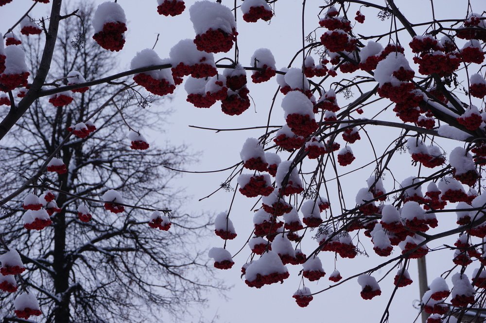 Photograph by 