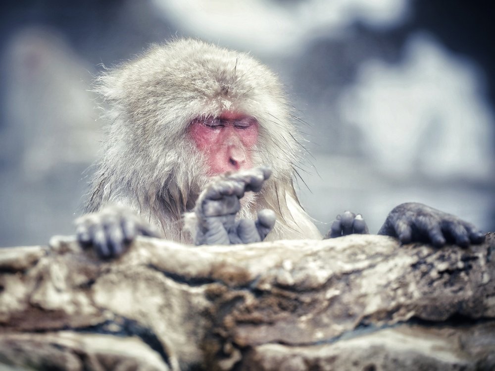 Photograph by Carlos Asensio Pizarro