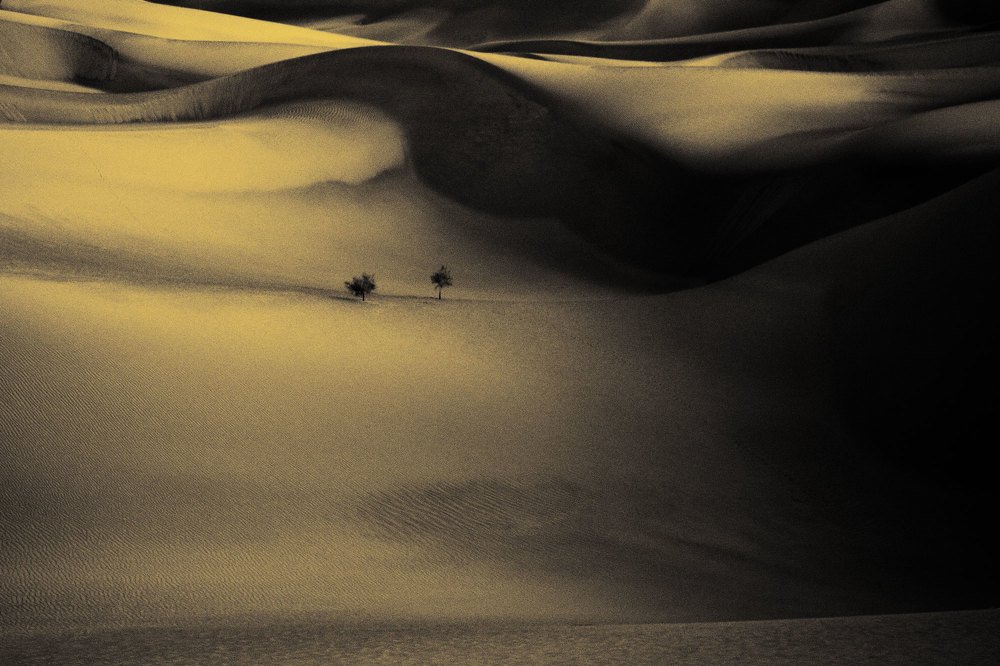 Photograph by Neda Abdelahi