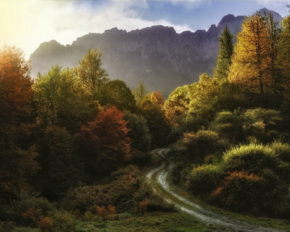 Photograph by Farhad Hamrah