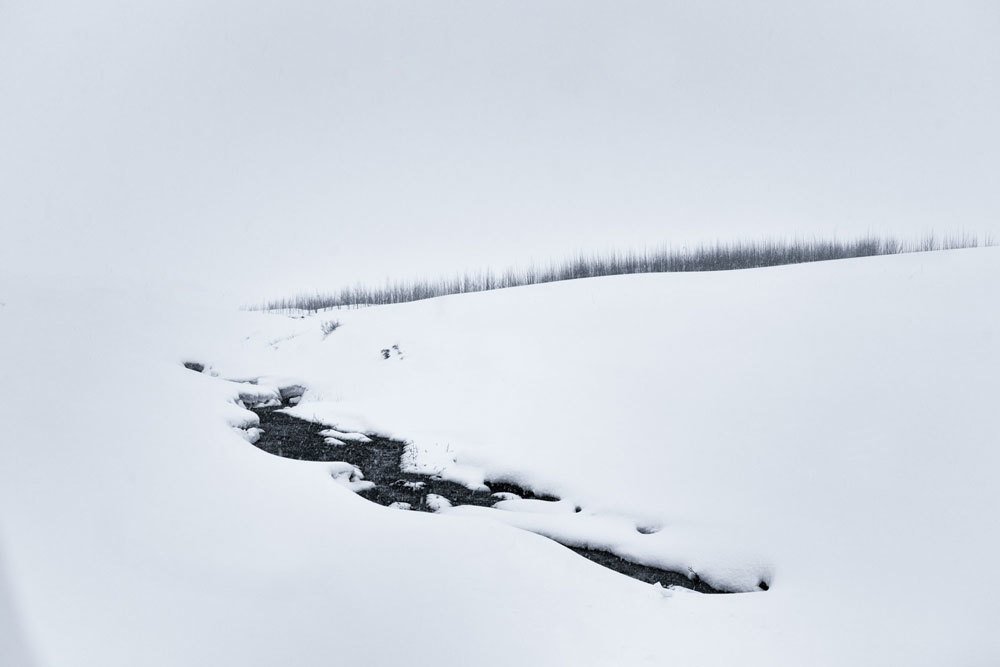 Photograph by Neda Abdelahi