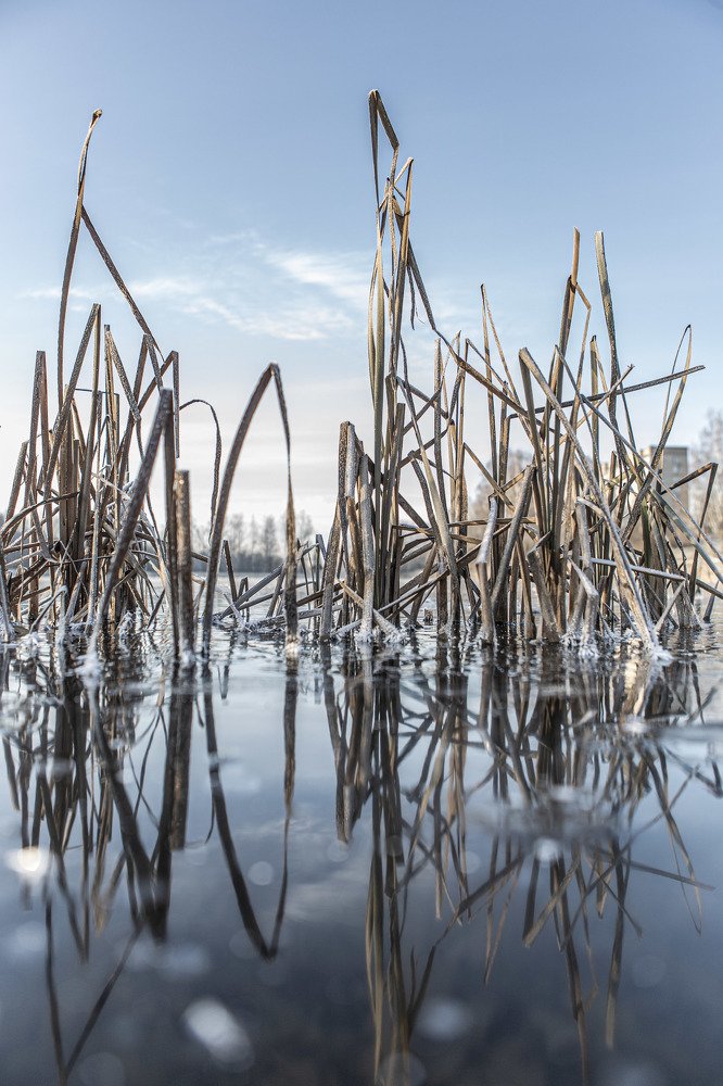 Photograph by Sergey Uskov