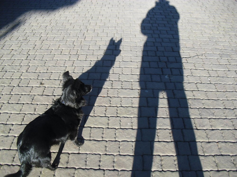 Photograph by Ольга Шевцова