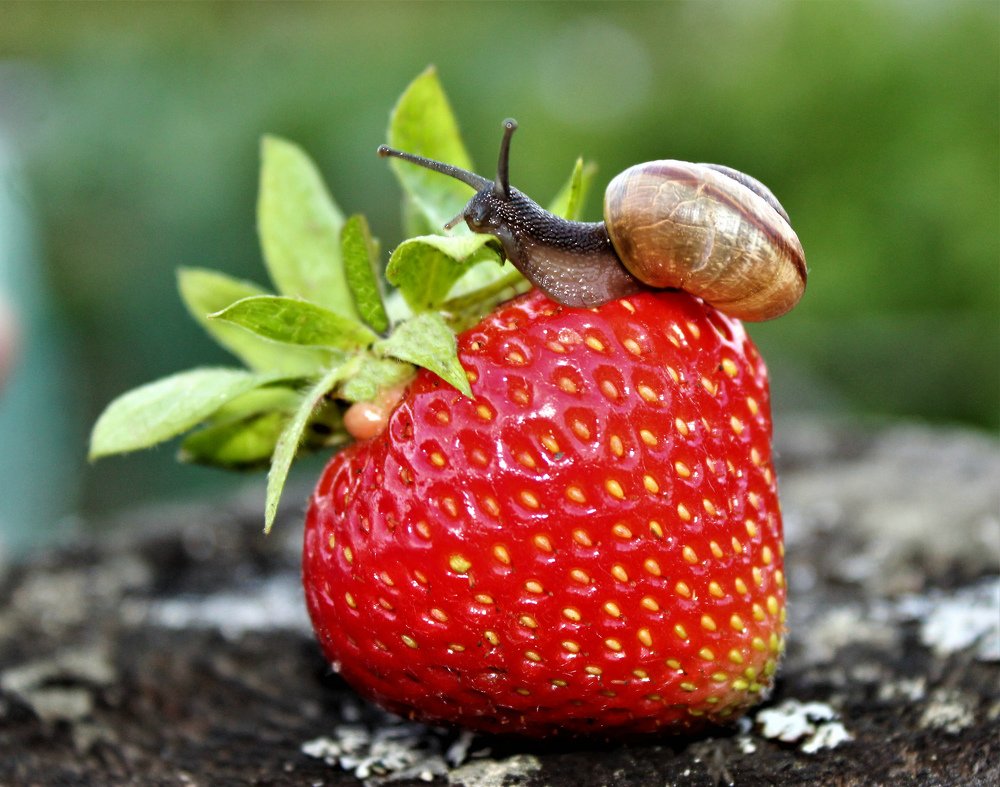 Photograph by Ольга Митрофанова