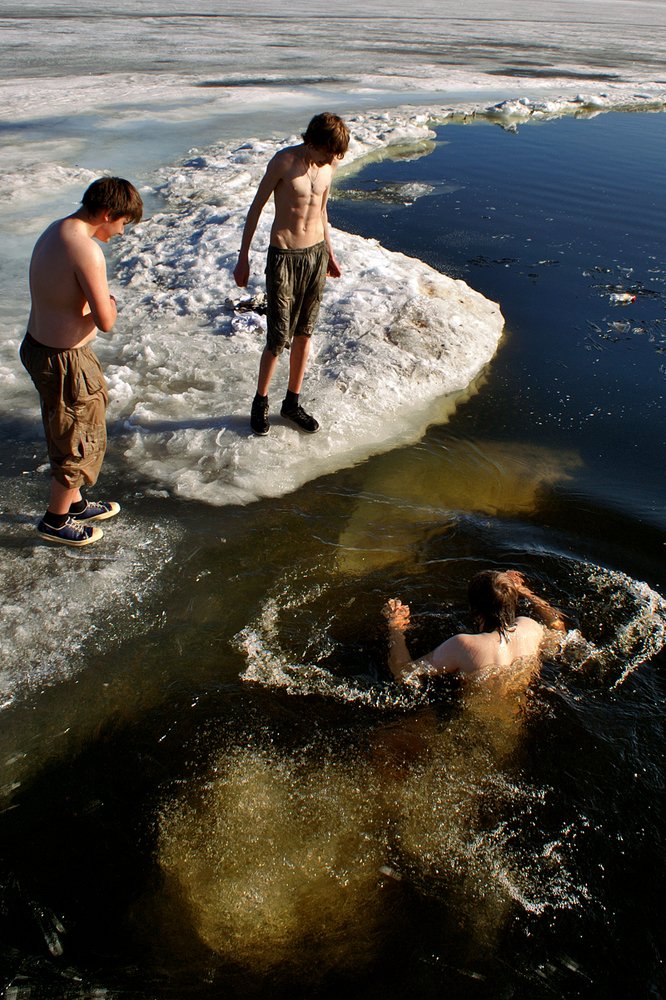 Весенние моржи